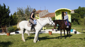 Accueil chevaux pour services à disposition