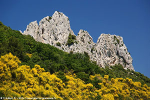 Dentelles Montmirail pour tourisme